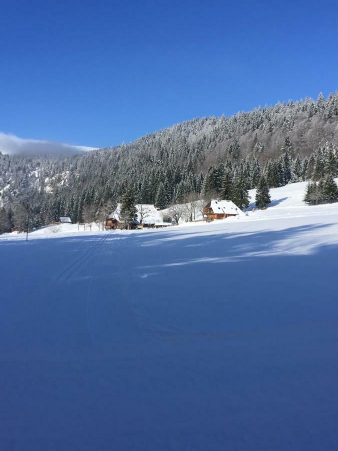 Chalet Breitnauschoen エクステリア 写真