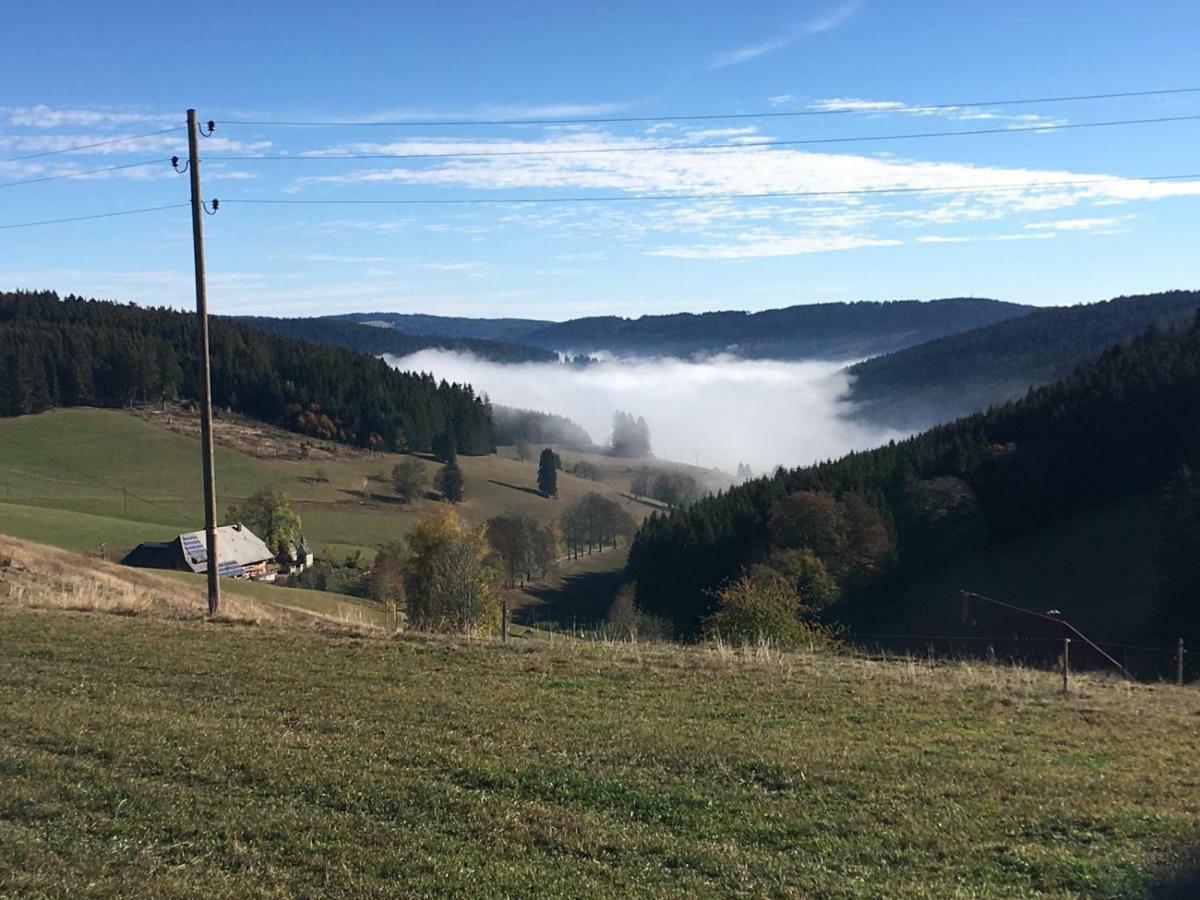 Chalet Breitnauschoen エクステリア 写真