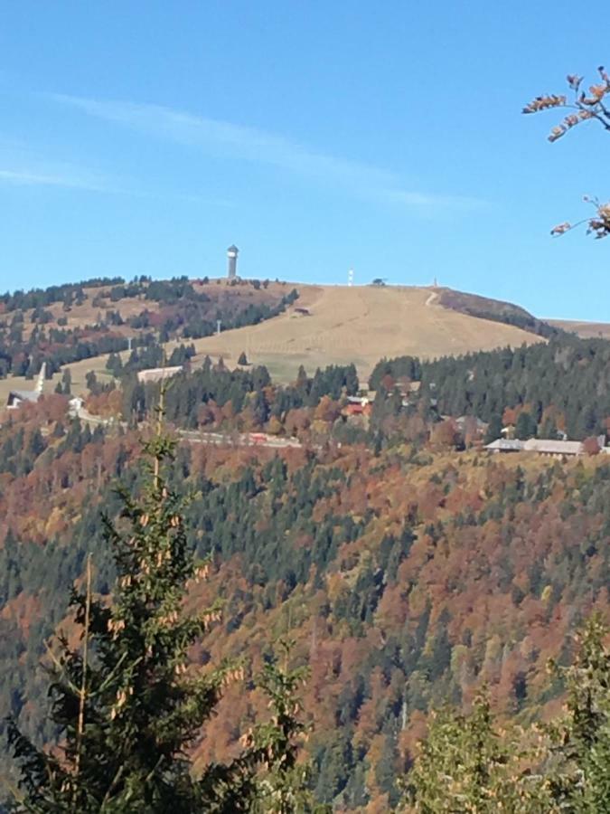 Chalet Breitnauschoen エクステリア 写真